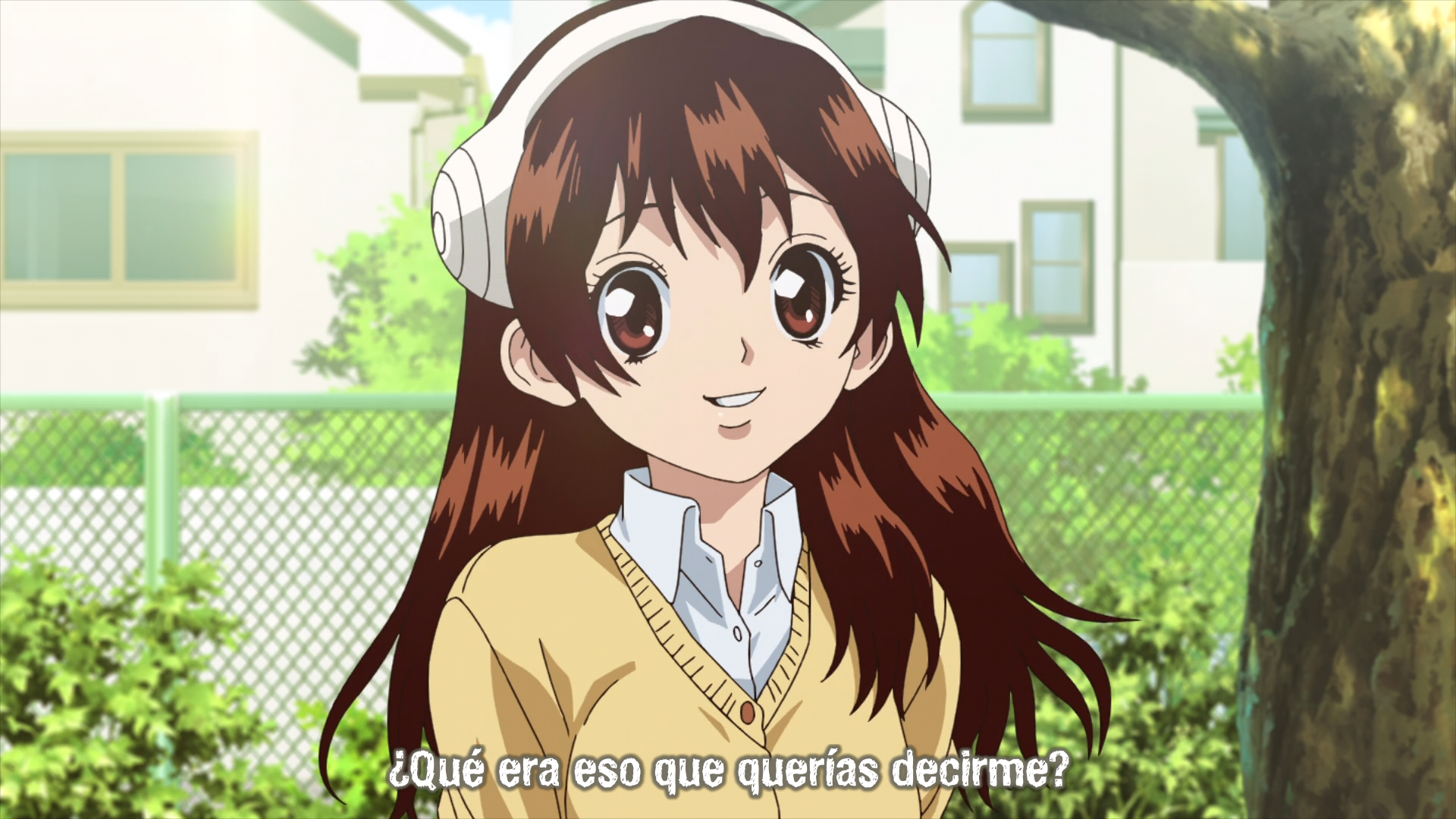 Dr. Stone [BD] (RedLineSP)